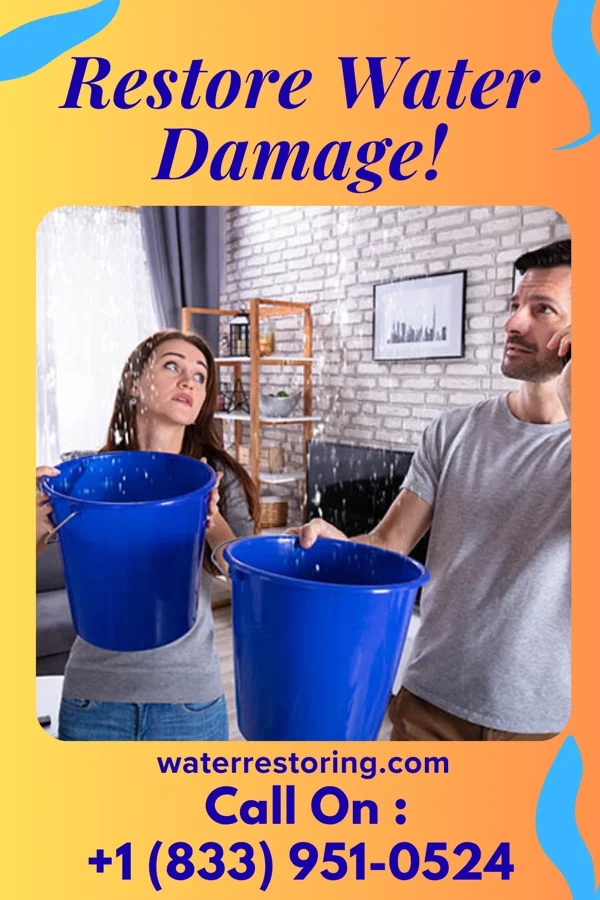water restoration Galaxy Water Restoration LLC Nelson