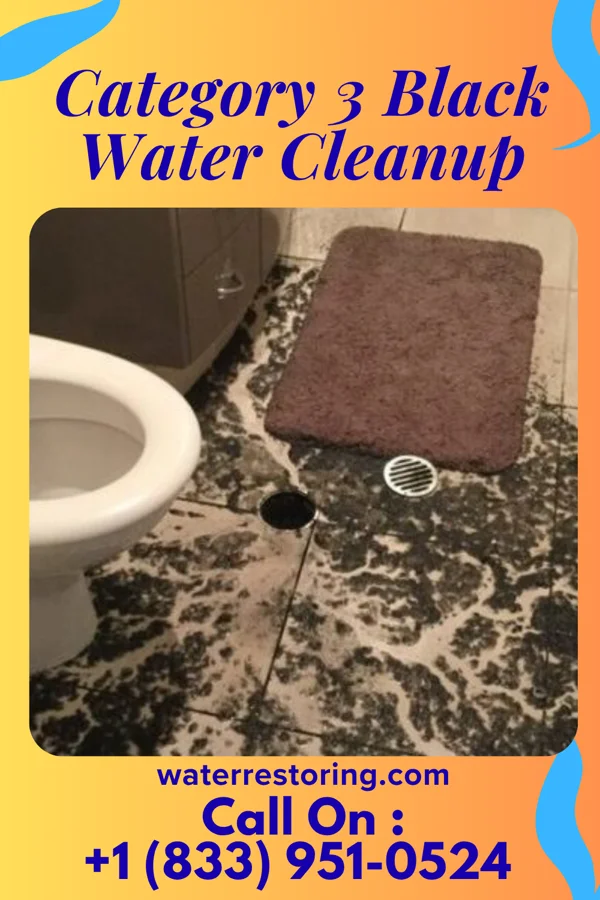Category 3 Black Water Cleanup in Nelson, NE
